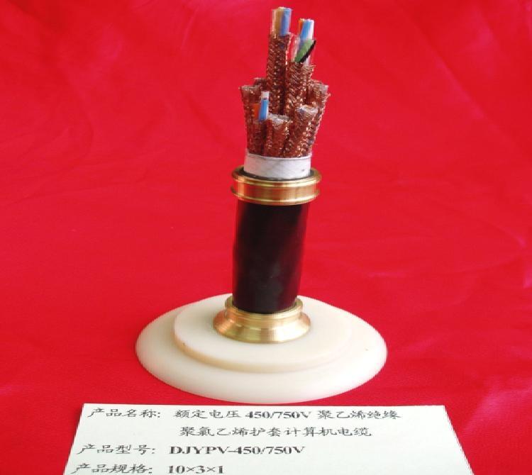 DJYPV22計(jì)算機(jī)電纜線廠家國(guó)標(biāo)價(jià)格