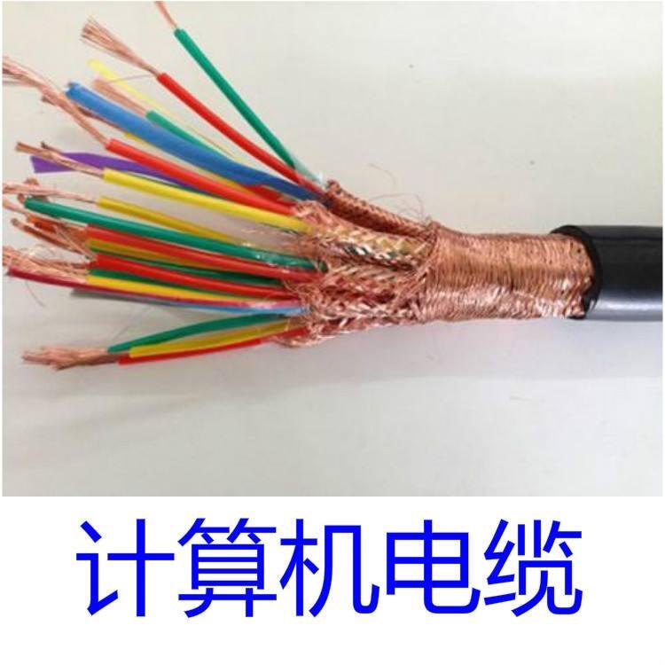 屏蔽信號(hào)電纜DJYPV22計(jì)算機(jī)電纜線廠家國(guó)標(biāo)價(jià)格