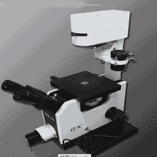 重慶倒置顯微鏡XDS-1B