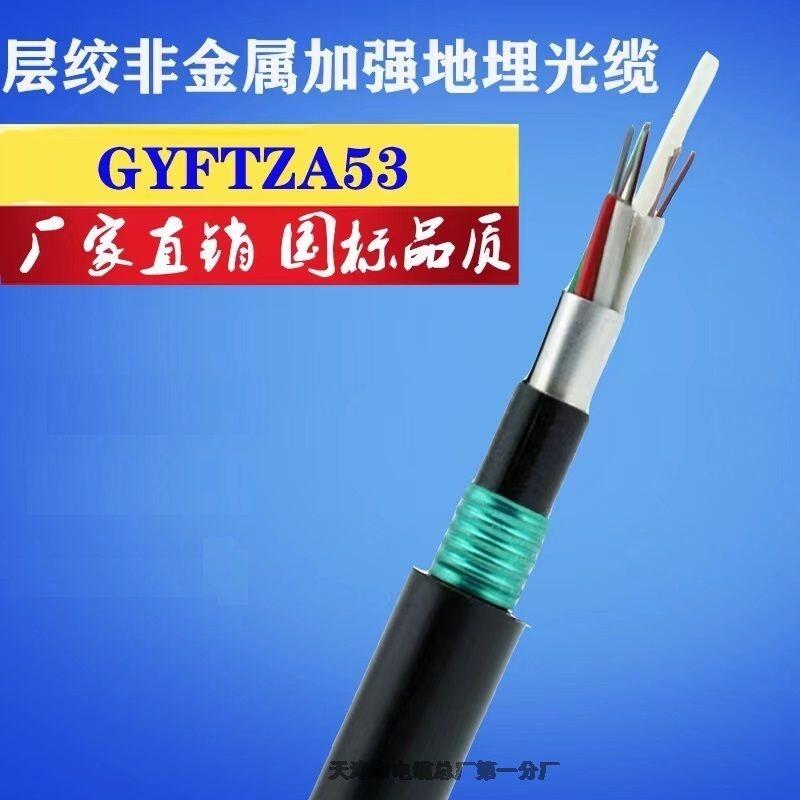 鎧裝光纜GYTA53-12B1.3