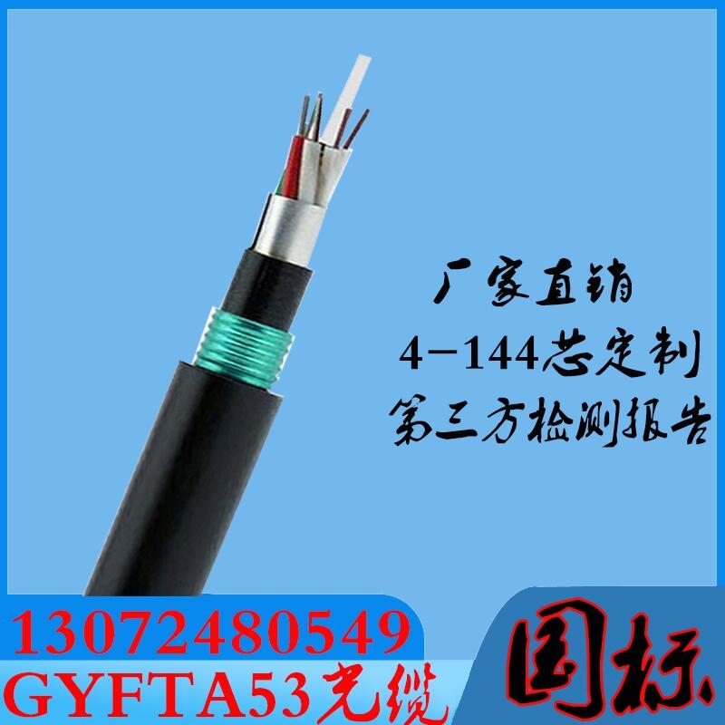 GYFTZA-24b1阻燃光纜 非金屬阻燃鎧裝光纜前10名生產(chǎn)廠家