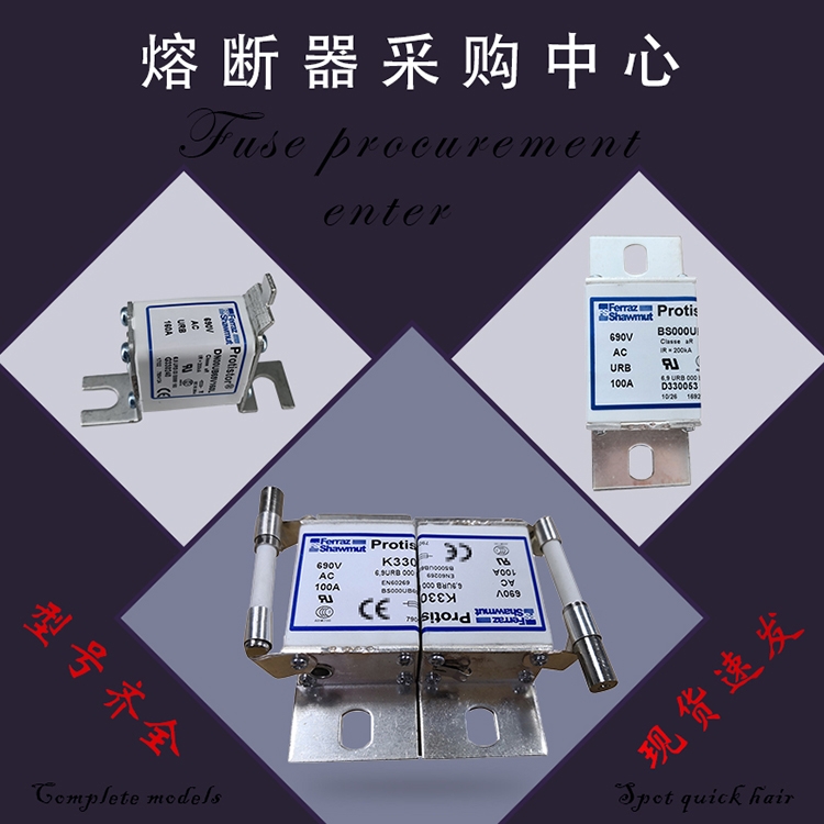 全新原裝巴斯曼快速熔斷器170M3108 170M3109 170M3110現(xiàn)貨