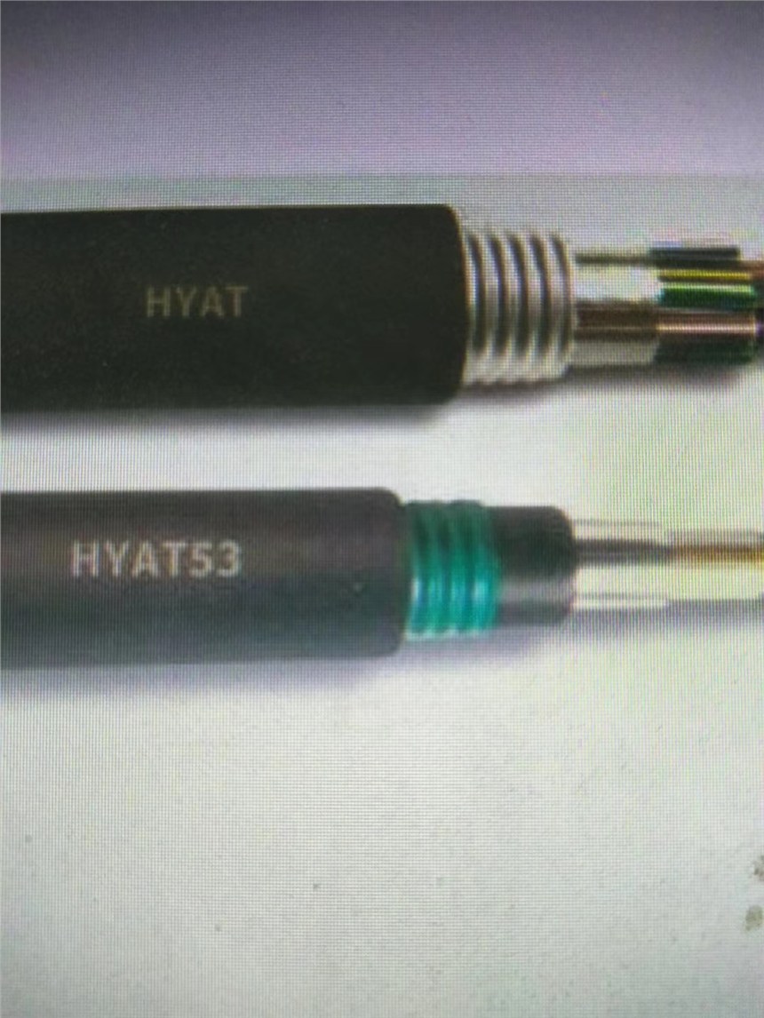 天聯(lián)牌電線電纜HYA53、HYAT53鎧裝通信電纜型號(hào)