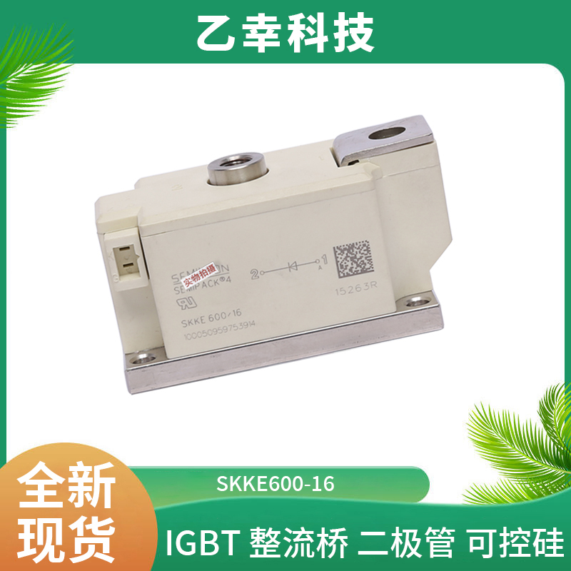 西門康IGBT功率模塊SKD30/02A1