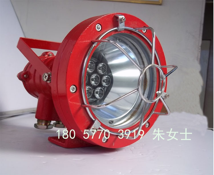 DGS24/127L(A)礦用隔爆型LED投光燈，LED投光燈，防爆LED投光燈