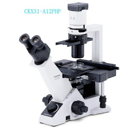 供應(yīng)奧林巴斯倒置顯微鏡CKX31