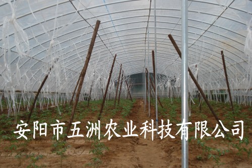 復(fù)合材料大棚骨架拱棚 新型鋼管鍍塑大棚骨架機 安陽五洲