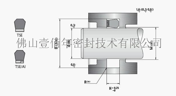 意大利液路堅(jiān)TSE密封件