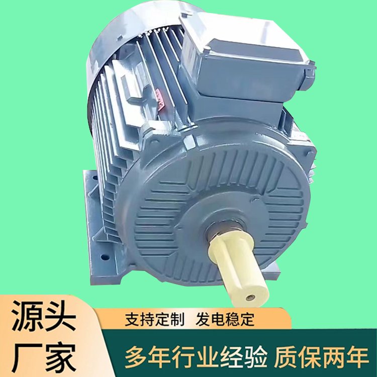 100KW380V稀土永磁同步交流防水發(fā)電機低轉(zhuǎn)速水力發(fā)電異形電機