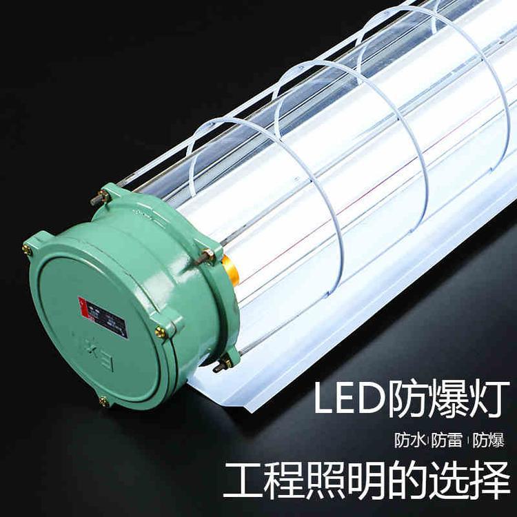 免維護(hù)LED防爆熒光燈T8LED0.6米0.9米1.2米單雙管工廠隔爆燈罩