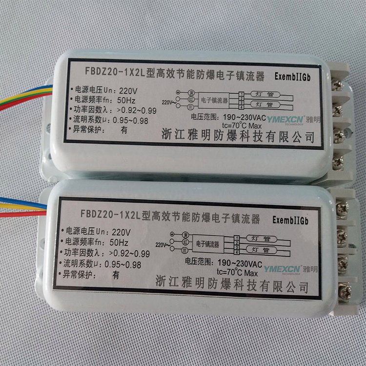 FBDZ20-1X2L型20W一托二高效節(jié)能防爆電子鎮(zhèn)流器廠家批發(fā)