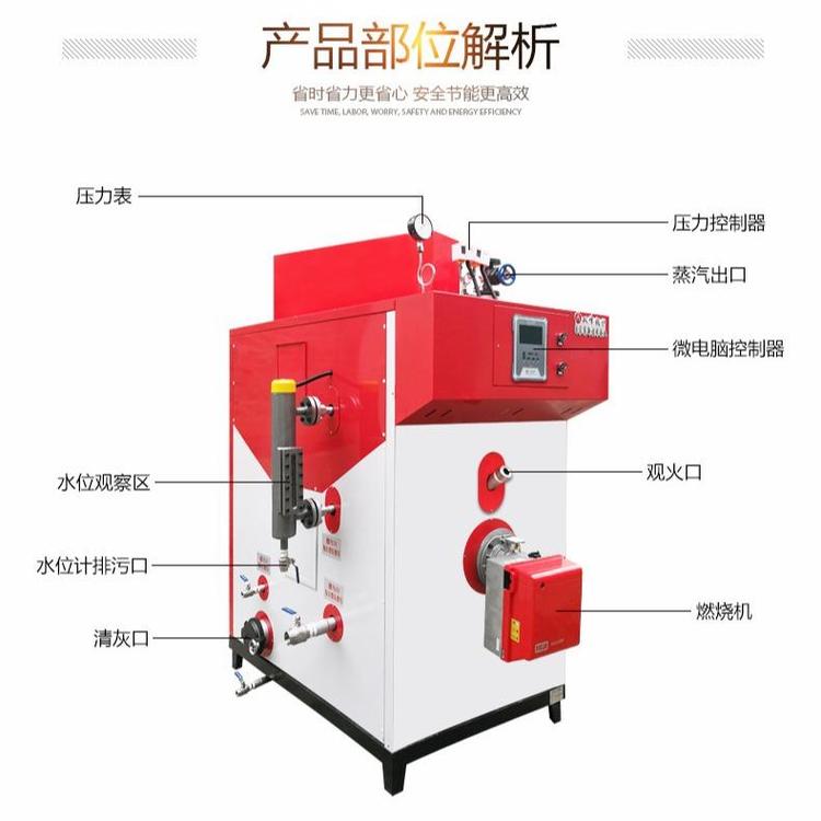 路平機械生物質蒸汽發(fā)生器燃油蒸汽機混凝土養(yǎng)護加熱器