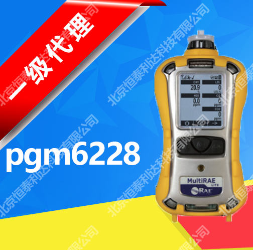 美國華瑞MultiRAEPro，PGM-6248六合一有毒有害氣體檢測儀PGM6248