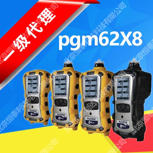 pgm-62x8美國華瑞MultiRAE2有毒有害氣體檢測儀PGM-62X8