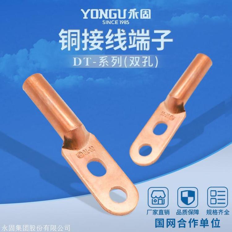 YONGU金具雙孔銅接線端子DT-50S堵油銅鼻子接線耳