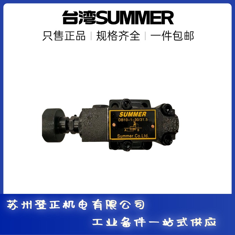 原裝SUMMER液壓閥BYX-G4B礦用備件比例溢流閥