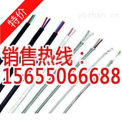 WC3\/25HF4R-2*1.0鎢錸高溫補(bǔ)償導(dǎo)線WC5\/26-HF4R-2*1.5槍內(nèi)槍外