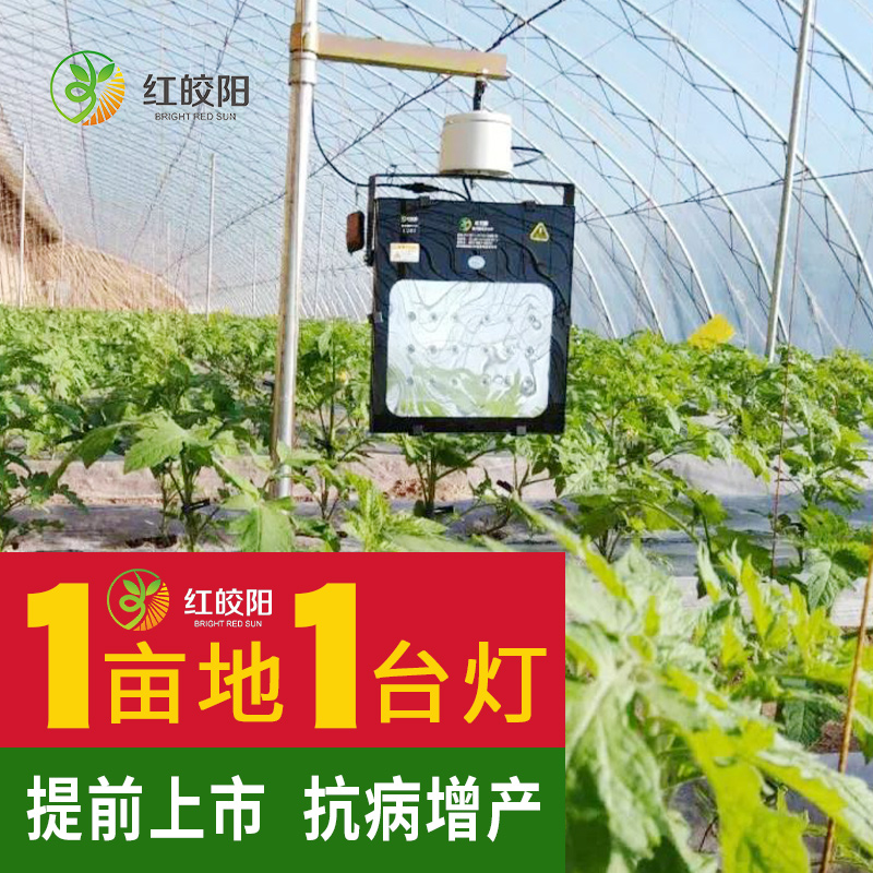 全光譜大棚甜瓜激光植物補光燈紅藍(lán)合成光譜智能溫室燈增溫補光