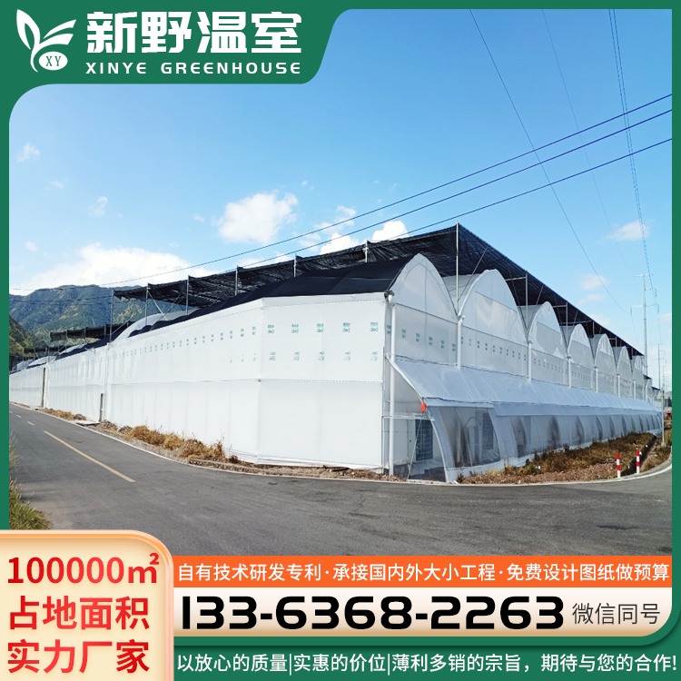 連棟陽光板溫室拱形采摘大棚建造廠家農業(yè)用種植果蔬大棚